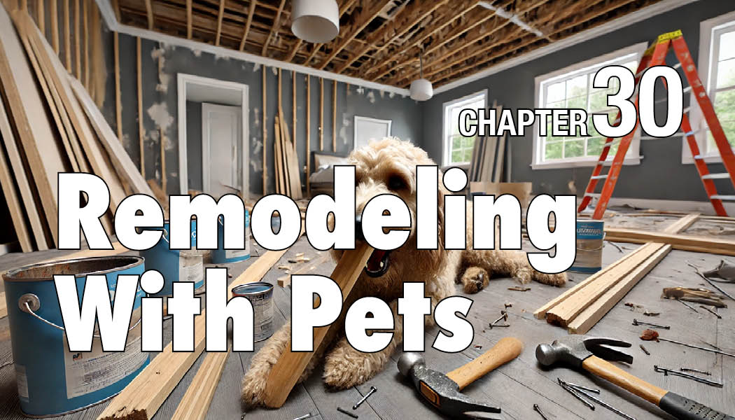 Book-carosel-images31